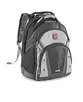 Swiss gear Synergy Pro Laptop BackPack