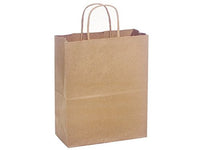 Kraft Gift Bags Brow Paper Bags 10 Pack (10 In X 5 In X 13 In)