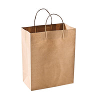 Craft Gift Bags ~ Brown Paper 1 dozen - 10" x 5" x 13"